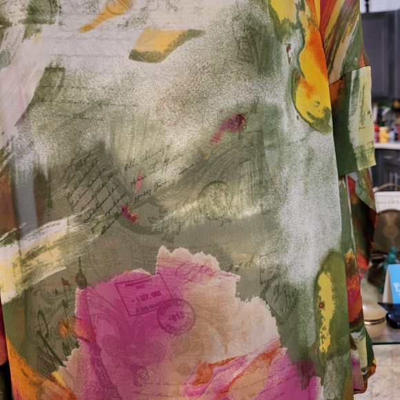 Lane Bryant Multicolor Sheer Blouse - Picture 3 of 6